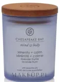 Chesapeake Bay Candle Chesapeake Bay Candle - Свеча Chesapeake Bay — фото 1