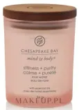 Chesapeake Bay Candle Chesapeake Bay Candle - Свеча Chesapeake Bay — фото 1