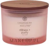 Chesapeake Bay Candle Chesapeake Bay Candle - Свеча Chesapeake Bay — фото 1