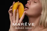 Сменный блок для диффузора MAREVE Mango Gold манго — фото 7