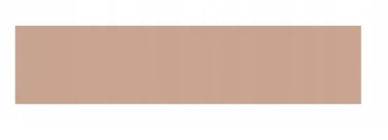 Прессованная пудра Diadem Matte Pressed Powder матирующая, 10 г, оттенок 04