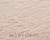 Asoa Mineral Illuminating Foundation база под макияж минеральная сияющая рассыпчатая для всех типов кожи 6 г, оттенок I10 - Light Ivory — фото 1
