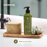 Гель для душа Olive Spa с алоэ вера и оливковым маслом, 250 мл — фото 6