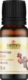 Эфирное масло Sattva Ayurveda Гвоздика 10 мл натуральное пряное аюрведическое — фото 1