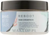 Маска-концентрат для волос Brave New Hair Reboot восстановление и увлажнение, пантенол, гиалуроновая кислота, 250 мл — фото 1
