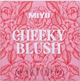 Румяна для лица Miyo Cheeky Blush Rouge Powder 9,5 г, оттенок 01 - Its True — фото 1