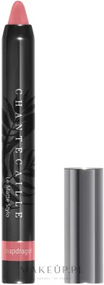 Помада-карандаш для губ Chantecaille Le Matte Stylo матовая
