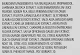 Осветляющий тоник Repechage Biolight с ламинарией, зелёным чаем и шалфеем для лица 180 мл — фото 3