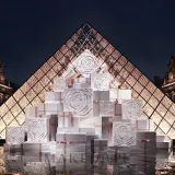 Набор для лица Lancome Advanced Genifique концентрат-сыворотка и крем с ферментом бифида и гиалуроном 10+50+15 мл — фото 5
