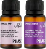 Бустер для повреждённых и ломких волос EveryGreen Instant Booster Reconstructive Treatment, 18 x 10 мл — фото 2
