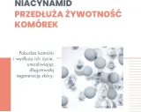 Аква-гель-крем для лица Avene Hyaluron Activ B3 с гиалуроновой кислотой сменный блок 50 мл — фото 4