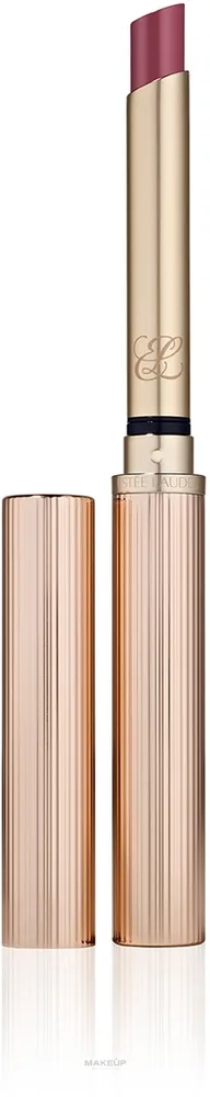 Помада для губ Estee Lauder Pure Color Explicit Slick Shine, оттенок 321 - Shhh