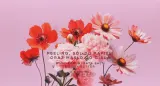 Набор для тела HiSkin Pink Blooms сахарный скраб соль для ванны и баттер с маслом какао и ши 3x200 мл — фото 2