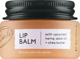Бальзам для губ UpCircle Lip Balm ухаживающий — фото 1
