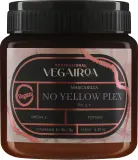 Тонирующая маска для светлых волос Vegairoa No Yellow Plex против желтизны, биотин, пантенол, ниацинамид, фиолетовый пигмент, 275 мл — фото 1