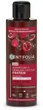 Шампунь Centifolia 2в1 для окрашенных волос, с органическим гранатом и экстрактом чёрной ели, до 6 недель цвета, 200/500 мл — фото 1