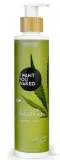 Шампунь I Want You Naked Holy Hemp Volume & Waves, с органической коноплёй и маслом арганы, для волнистых волос, 250 мл — фото 1
