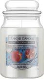 Свеча ароматическая Yankee Candle — фото 1