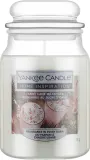 Свеча ароматическая Yankee Candle — фото 1