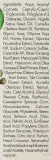 Ночной бустер для лица NaturalME Vintage Garden Honey Linden с ретинолом 50 мл — фото 3