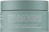 Набор Re-New Copenhagen Essential Grooming шампунь №05 спрей для текстуры №07 и глина для укладки №04 — фото 7