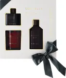 Набор для ароматизации дома Sorvella Perfume Red Baccarat диффузор 120 мл свеча 170 г и спрей 250 мл — фото 1