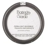 Полупрозрачная матирующая пудра Bottega Verde Invisible Mattifying Powder, 8,5 г — фото 1