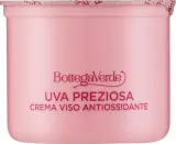 Крем-гель для лица Bottega Verde Uva Preziosa с виноградом сменный блок 50 мл — фото 1