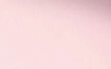 Прессованная пудра Westman Atelier Vital Pressed Skincare, 5 г, оттенок Pink Bubble