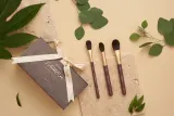 Набор кистей для макияжа лица Clavier Nature & More из 3 предметов — фото 3