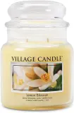 Свеча ароматическая Village Candle — фото 1