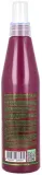 Спрей для волос Salerm Cosmetics Brushing Spray термозащитный, для укладки феном, 250 мл — фото 2