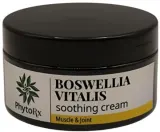 Крем для мышц и суставов PhytoRX Boswellia Vitalis успокаивающий 100 мл — фото 1