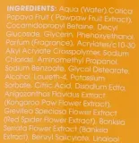 Гель для душа Pure Paw Paw Botanical Wash с ферментированной папайей, 200 мл — фото 2