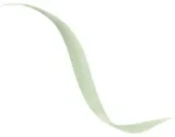 Подводка для глаз Dior Diorshow Liquid Liner жидкая, водостойкая, с фетровым аппликатором, 0,55 мл, оттенок 301 - Shimmer Green — фото 1
