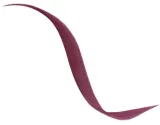 Подводка для глаз Dior Diorshow Liquid Liner жидкая, водостойкая, с фетровым аппликатором, 0,55 мл, оттенок 881 - Satin Burgundy — фото 1