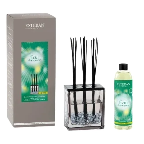 Аромадиффузор для дома Esteban Eau D'Amazonie Scented Bouquet Triptyque 250 мл