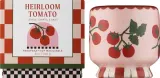 Свеча ароматическая Paddywax Adopo — фото 2