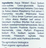 Alkemilla Eco Bio Cosmetic Alkemilla Eco Bio Cosmetic Shampoo - Шампунь Alkemilla Mirtillo с черникой, ромашкой, лимоном и крапивой, 250 мл — фото 2