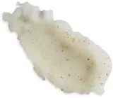 Sabon Sabon Olive Bliss Body Scrub - Скраб для тела Olive Bliss с солью Мёртвого моря, оливка, 320 г — фото 2