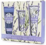 Aromas Artesanales de Antigua Aromas Artesanales De Antigua Lavender Bath & Body Collection (sh/gel/200 мл + b/cr/130 мл + h/cr/60 мл) - Набор для тела Aromas Artesanales Lavender гель для душа крем для тела и крем для рук с маслом ши и ароматом лаванды 200+130+60 мл — фото 1
