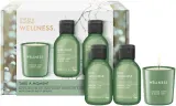 Набор Baylis & Harding Wellness гель для ванны и душа 100 мл лосьон для рук и тела 100 мл и ароматическая свеча 60 г — фото 3