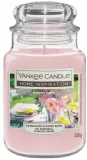 Свеча ароматическая Yankee Candle — фото 2