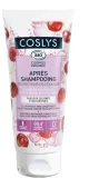 Кондиционер для окрашенных волос, защищающий цвет Coslys Color Protecting Hair Conditioner, 200 мл — фото 1
