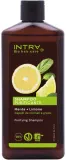 Шампунь Intra Mint & Lemon очищающий с мятой и лимоном без силиконов и SLS, 250 мл — фото 1