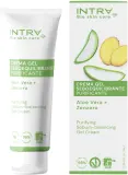 Крем-гель для лица Intra Aloe and Ginger Sebum Balancing Gel Cream балансирующий, с алоэ и имбирём, 50 мл — фото 1