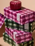 Набор ароматических свечей Paddywax Ripple Secret Garden и Wild Fig & Cedar 2 шт по 127 г — фото 3