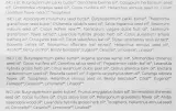 Набор бальзамов для лица Oppidum четыре органических бальзама с маслом ши и жожоба 4x5 мл — фото 3