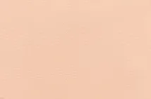 Румяна для лица A'pieu Juicy-Pang Pastel Blusher, оттенок Cr02 - Apricot Cotton