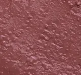 Помада для губ Rougj+ Moisturizing с эффектом блеска, оттенок 3 - Nude Rose — фото 1